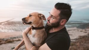 Why You Need To Show Your Dogs You're The Alpha