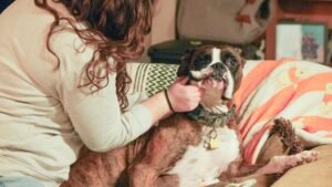 The Bittersweet Reality of Getting Attached to a Foster Puppy