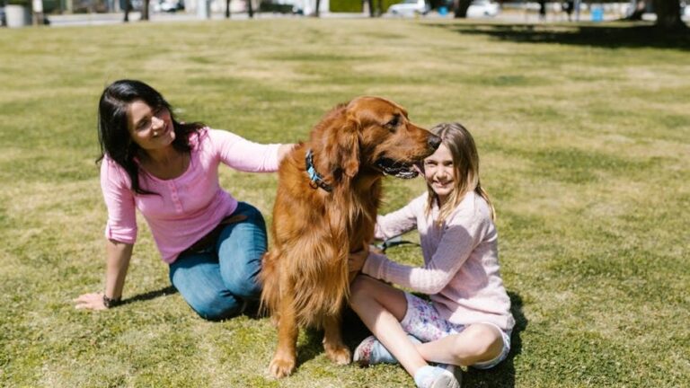 Why Golden Retrievers Are the Ideal Match for Families Living in the Lakes of Minnesota