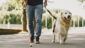 7 Ways Your Dog is Telling You It's Time To Say Goodbye