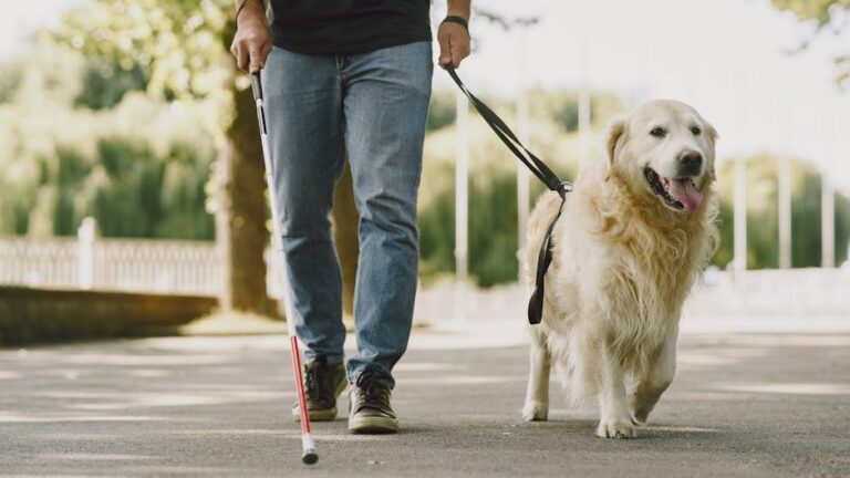 7 Ways Your Dog is Telling You It's Time To Say Goodbye