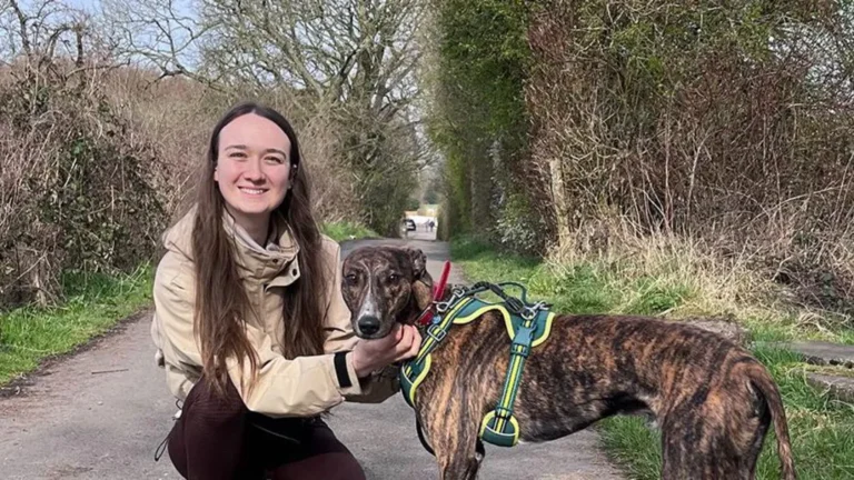 Emaciated puppy rescued and ready to lead a new life