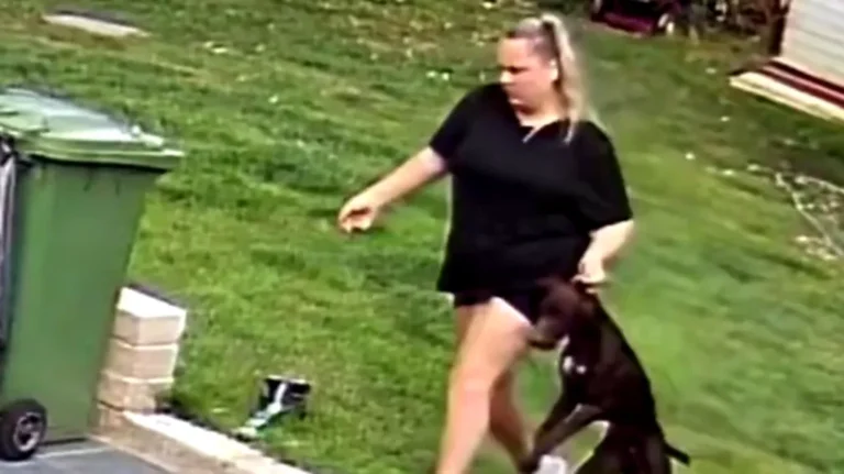 Pet Sitter Gets Banned After CCTV Reveals Her Beating Dogs