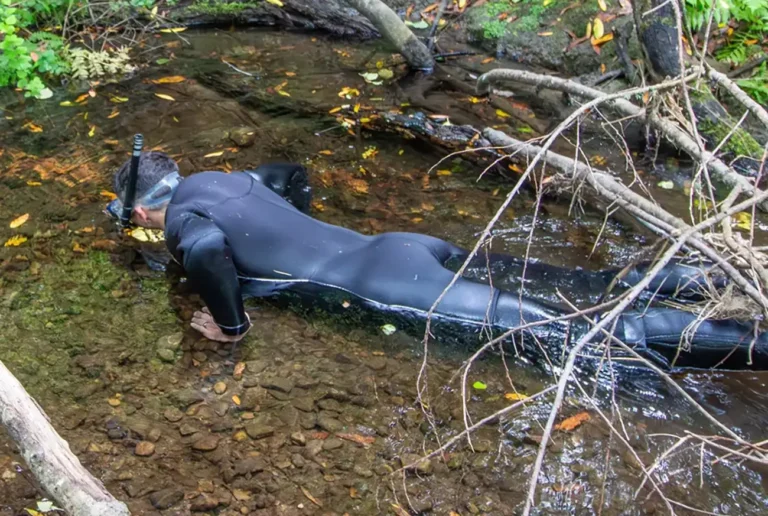 National Park Service Worker Makes Rare Discovery While Snorkeling