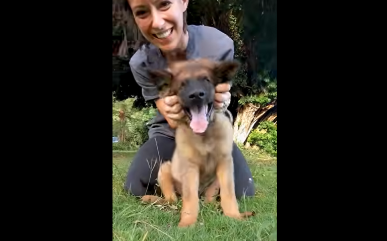 Foster Mom Becomes Seeing-Eye Human For Blind Puppy