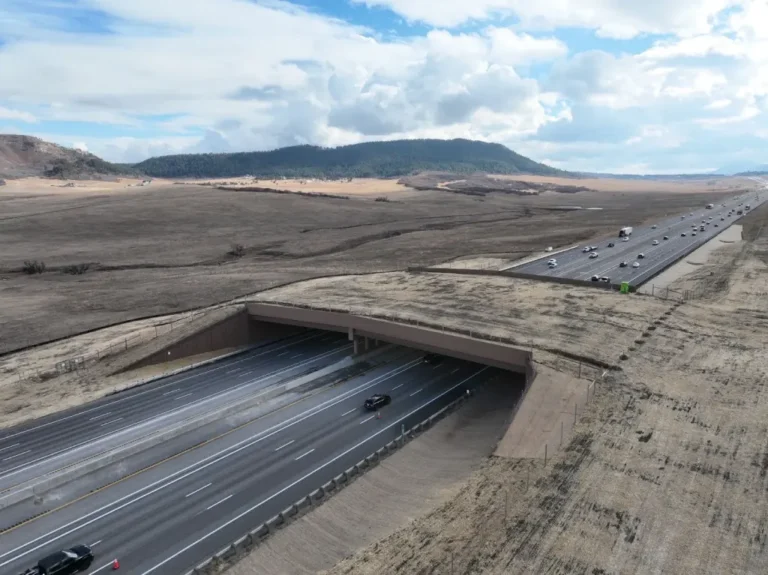 North America’s Largest Wildlife Overpass Transforms Safety on Colorado’s I-25
