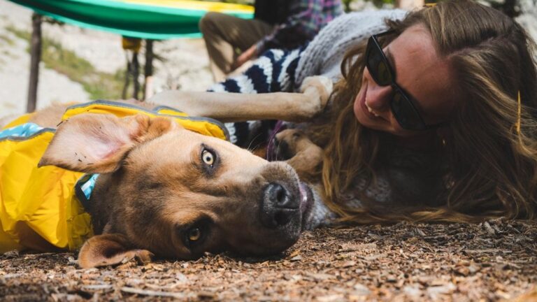 The Day Your Dog Realizes You're Not Coming Back on Time