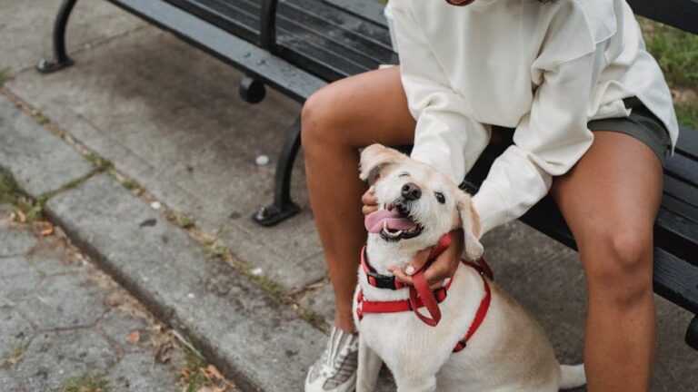 Why Some Dogs Stop Greeting Their Owners the Same Way