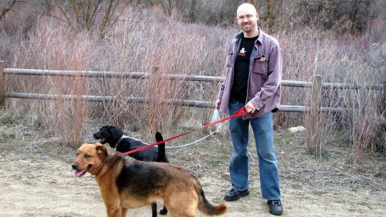 Top Dog-Loving States in America