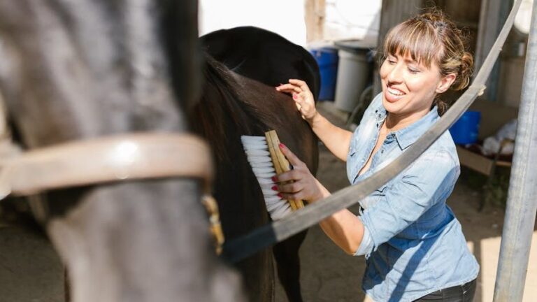 5 Things Horses Do When They Feel Completely Secure