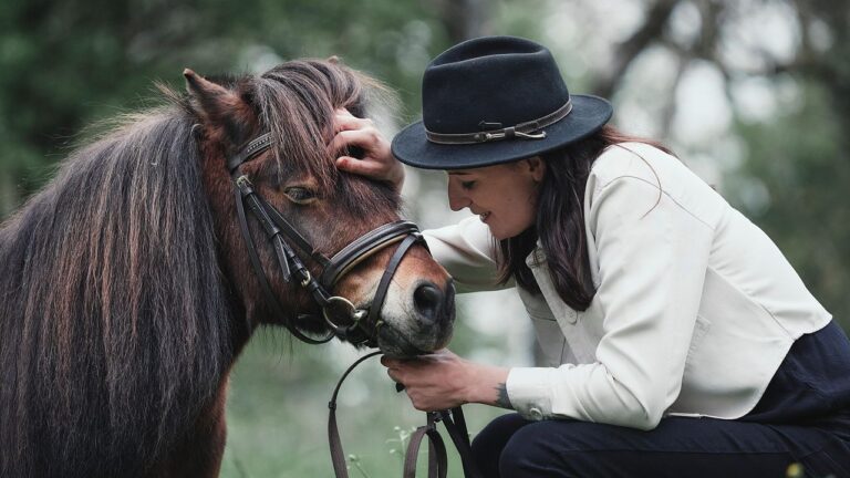 12 Quiet Ways Horses Show They Trust You Completely