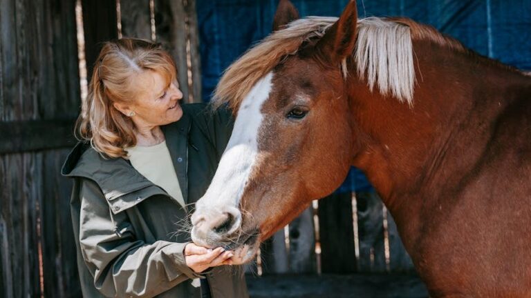 10 Moments That Turn a Horse Into Your Lifelong Companion