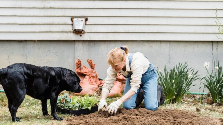 Could dog poo compost be used to grow fruit and veg?