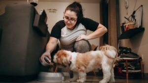 16 Signs Your Old Dog Is Holding On Just For You