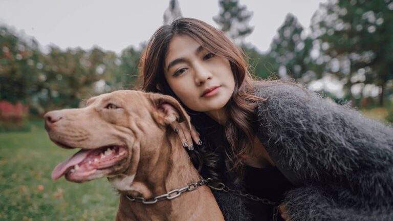 10 Heartwarming Ways Pit Bulls Show They've Bonded With You