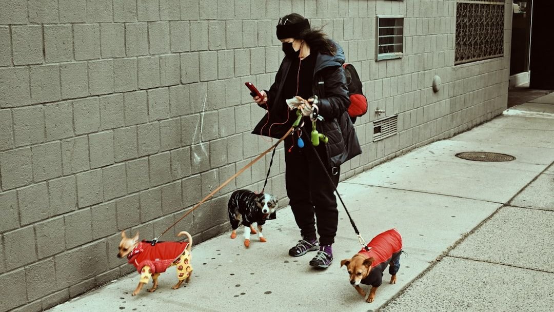 These Are the Top 10 Most Popular Dog Breeds in New York