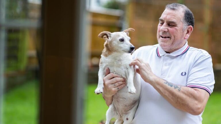 17 Small Ways An Old Dog Loves You That A Young One Never Will