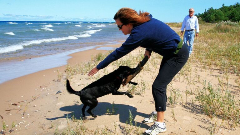 15 Signs Your Dog Says "Don't Go" Every Time You Leave