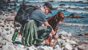 15 Family-Friendly Breeds That Fit Peaceful Suburban Life in Indiana