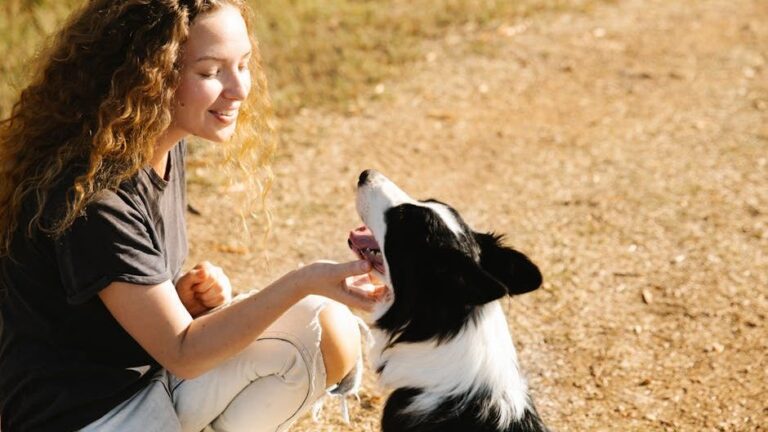 Dogs Often Form Lifelong Bonds with Their Human Families