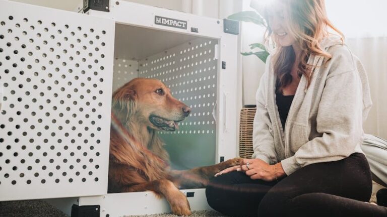 7 Reasons Why Your Dog Loves Their Crate (It's Not Punishment!)