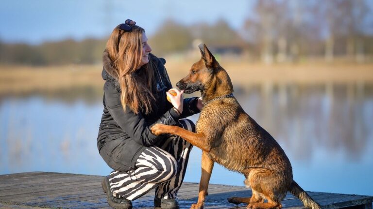 9 Clever Ways Dogs Use Their Paws to Tell You What They Want