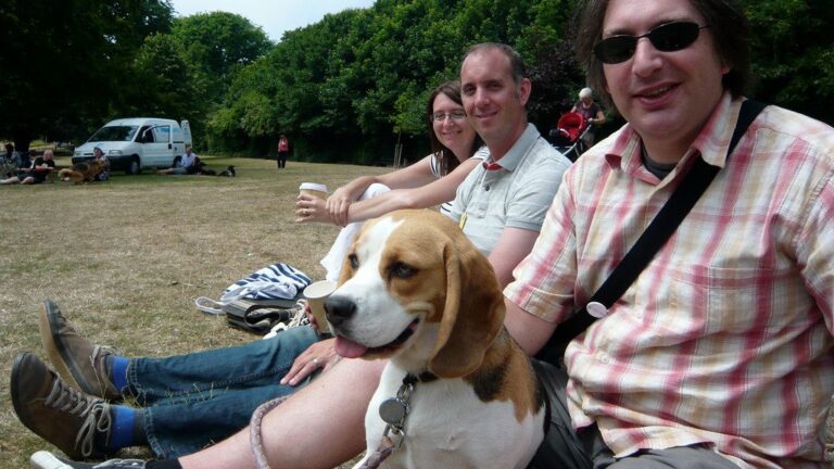 8 Dog Breeds That Love to 'Talk' to Their Owners (And How They Do It)