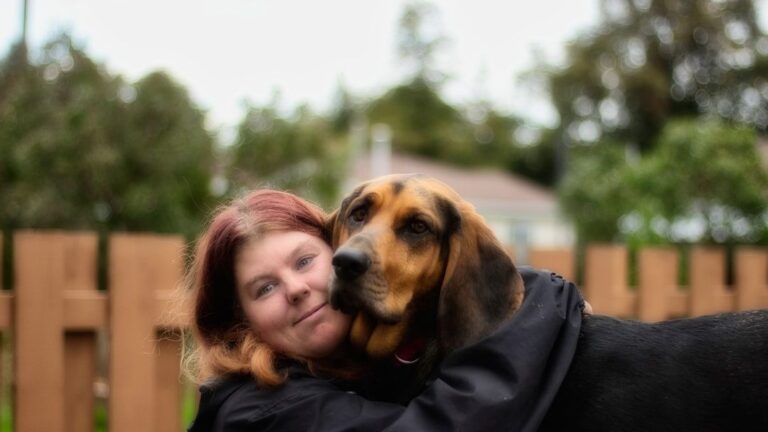 16 Small Moments With Your Senior Dog You'll Never Be Able to Get Back - Cherish Them Now