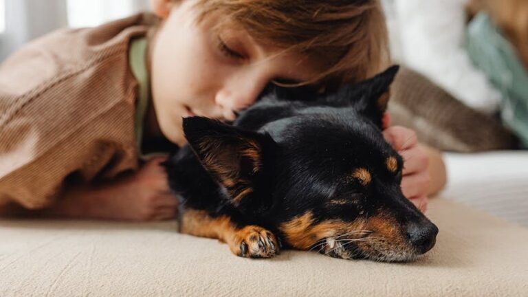 14 Things Dogs Do in Their Sleep That Reveal Exactly How Much They Trust You