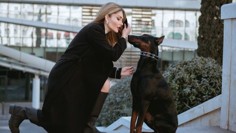 15 Dog Breeds That Quietly Fall Apart on the Inside When They Sense Their Owner Is Sad