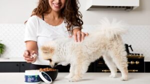 16 Small Gifts You Can Still Give Your Senior Dog That Mean More Than You Realise
