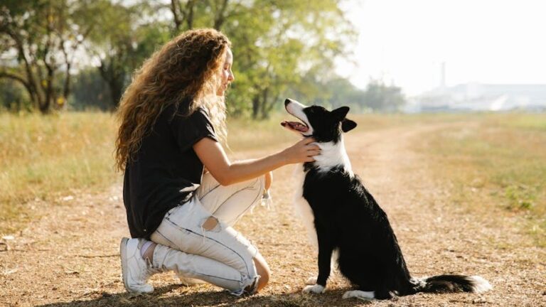 15 Dog Breeds That Form Such a Deep Bond With One Person They Never Fully Recover if Separated