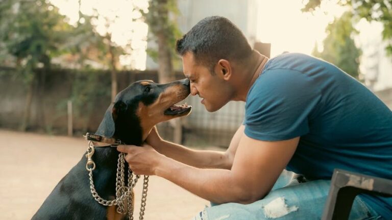 The Bond with Your Dog Strengthens with Every Shared Adventure