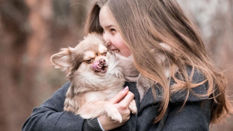 18 Dog Breeds That Sleep Closest to Their Owner as They Get Older - And the Heartbreaking Reason Why