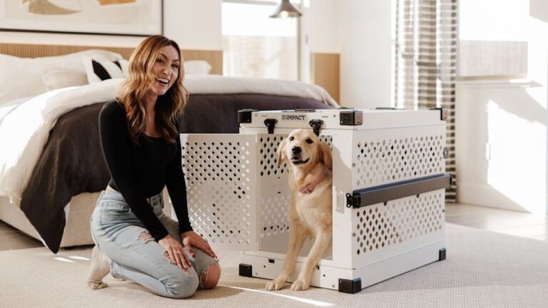 8 Essential Items Every New Dog Owner Needs For A Smooth Start