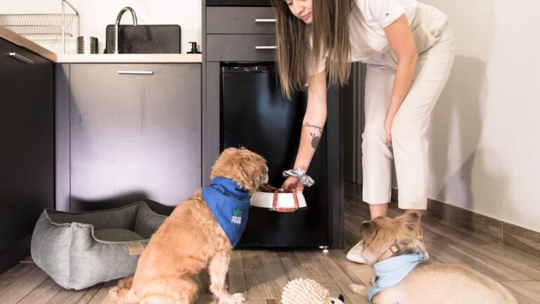 12 Everyday Habits That Will Strengthen Your Bond With Your Dog