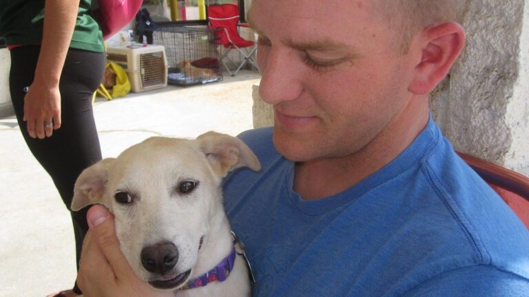 7 Important Things To Consider Before Adopting A Rescue Dog