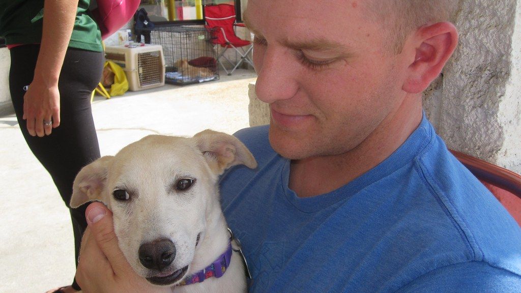 7 Important Things To Consider Before Adopting A Rescue Dog