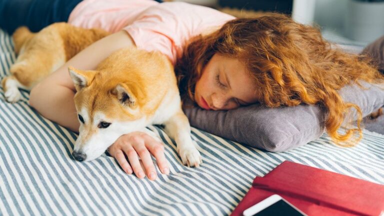 19 Signs Your Dog Has Decided You Are the Only Person They Will Ever Truly Need
