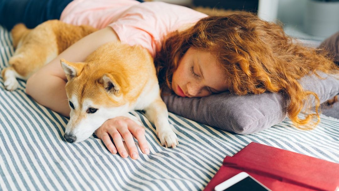 19 Signs Your Dog Has Decided You Are the Only Person They Will Ever Truly Need