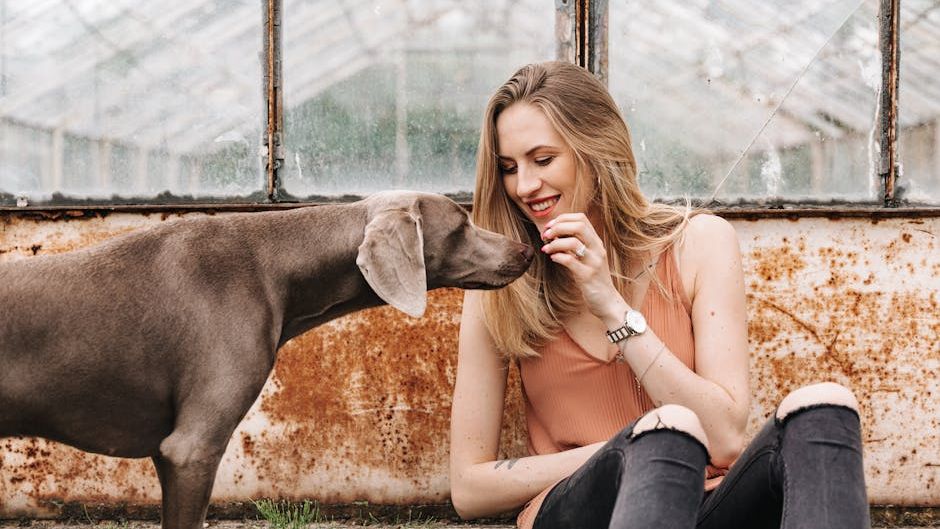Why Do Some Dogs Prefer Certain Family Members Over Others?