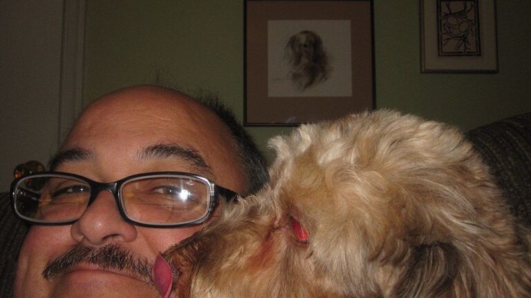 The Gentle Lick Your Dog Gives You Is Their Soothing Way of Showing Affection