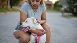 The Unspoken Agreement Between You and Your Dog Is a Beautiful, Trusting Partnership