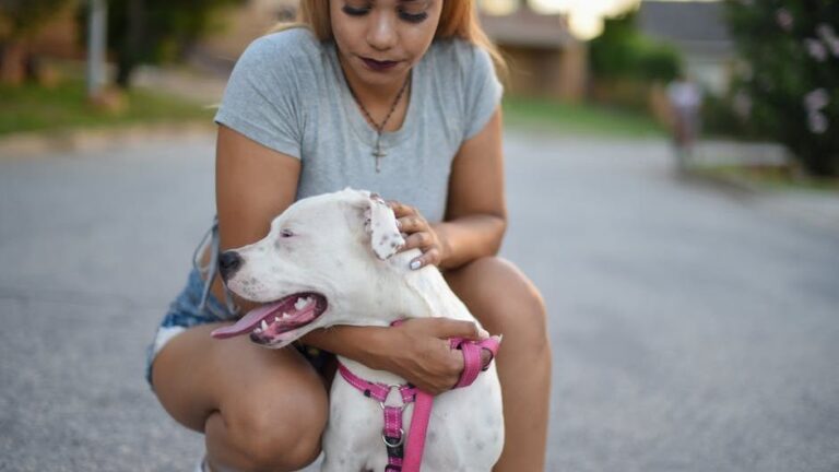 The Unspoken Agreement Between You and Your Dog Is a Beautiful, Trusting Partnership