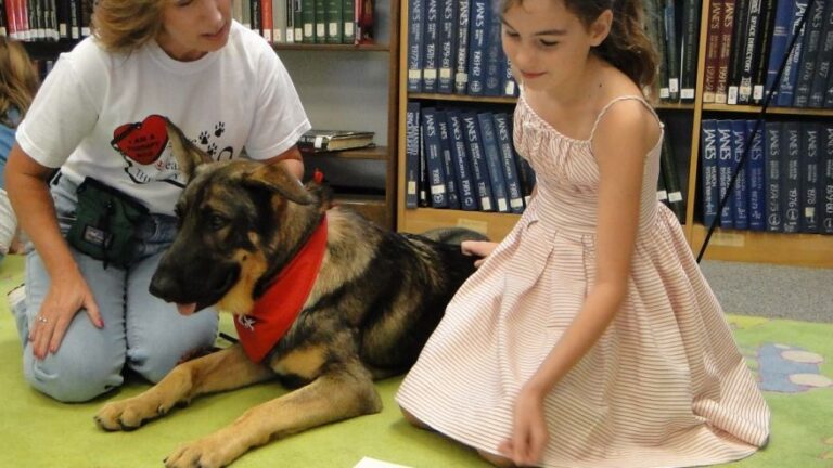 A Dog's Sense of Loyalty Goes Beyond Expectation, Forming an Unbreakable Bond