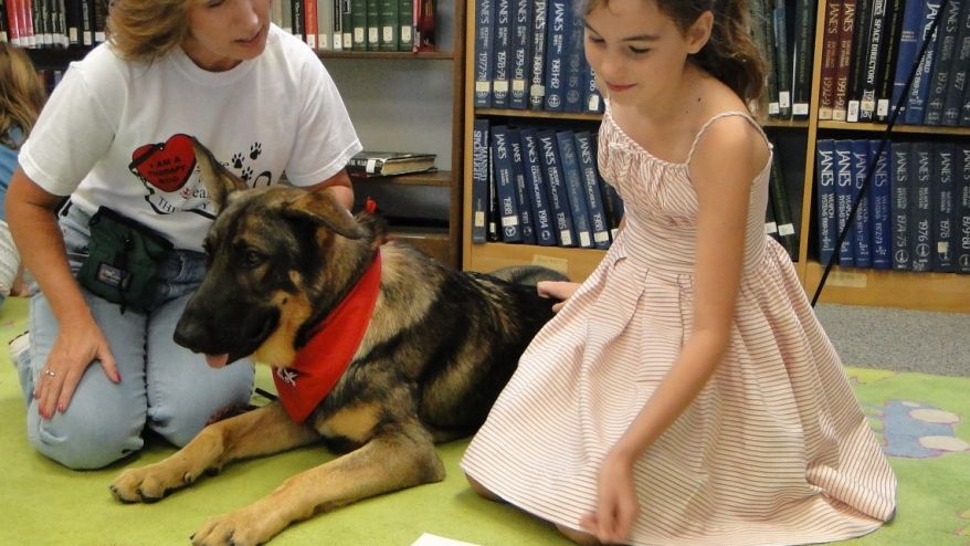 A Dog's Sense of Loyalty Goes Beyond Expectation, Forming an Unbreakable Bond