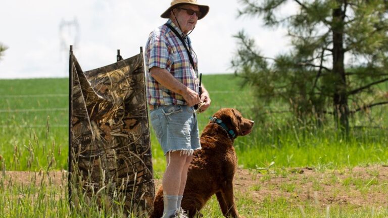 8 Common Misconceptions About Dog Behavior That All Owners Should Know