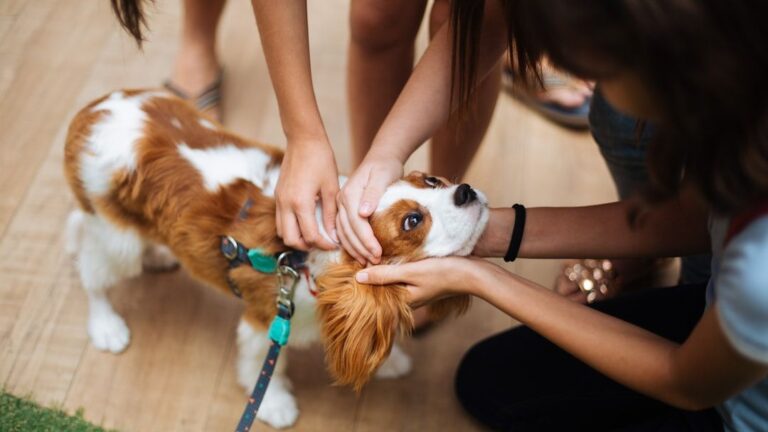 10 Dog Breeds That Fit Zodiac Fire Signs (And 5 That Don't)
