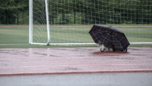 Keeping Pets Safe in Summer | Under the Umbrella
