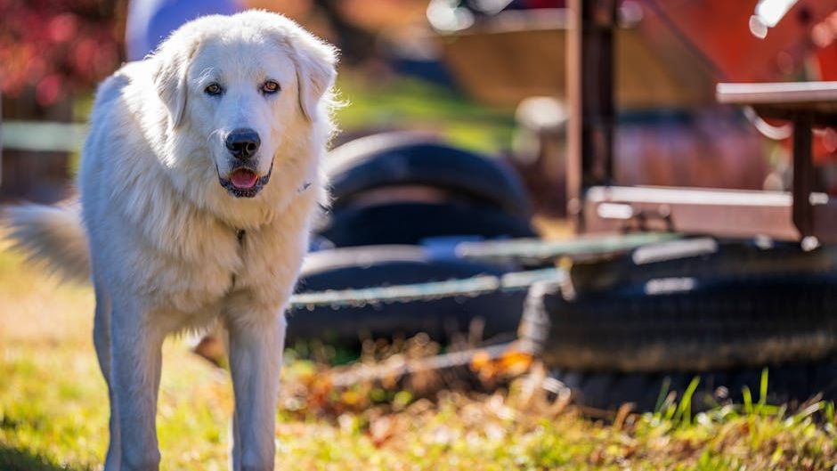 Which Dog Breed Matches Your Zodiac Sign's Hidden Personality